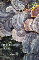 turning over leves by jane schneeloch cover image