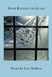 Snow Raining on Glass cover image