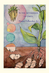 In the Aftermath of GriefPoems by Harper Follansbee, Jr. cover image