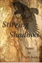 Stirring Shadows
