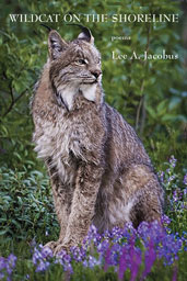 Wildcat on the Shoreline cover image