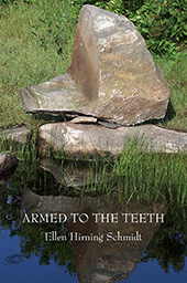 Armed to the Teeth cover image